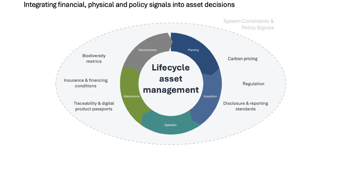 Lifecycle asset management wheel. At the centre, five lifecycle phases — planning, acquisition, operation, maintenance, decommission — form a closed ring. Surrounding the ring, six policy and system-signal categories envelope every phase: carbon pricing, regulation, disclosure and reporting standards, biodiversity metrics, insurance and financing conditions, and traceability and digital product passports.